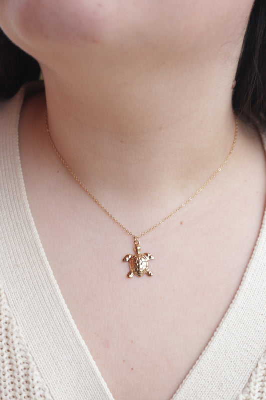 Colar de Aço Dourado de Tartaruga