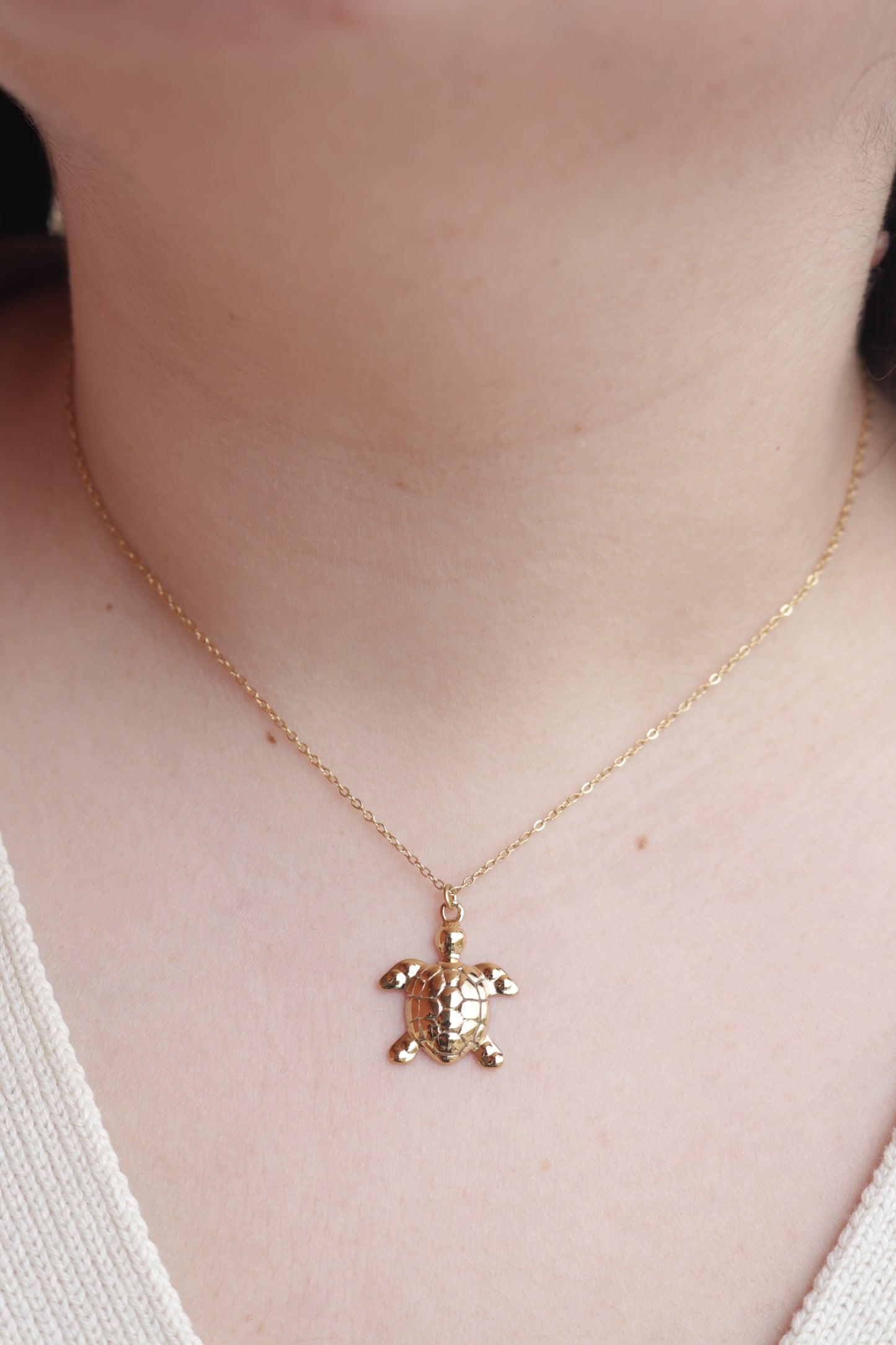 Colar de Aço Dourado de Tartaruga