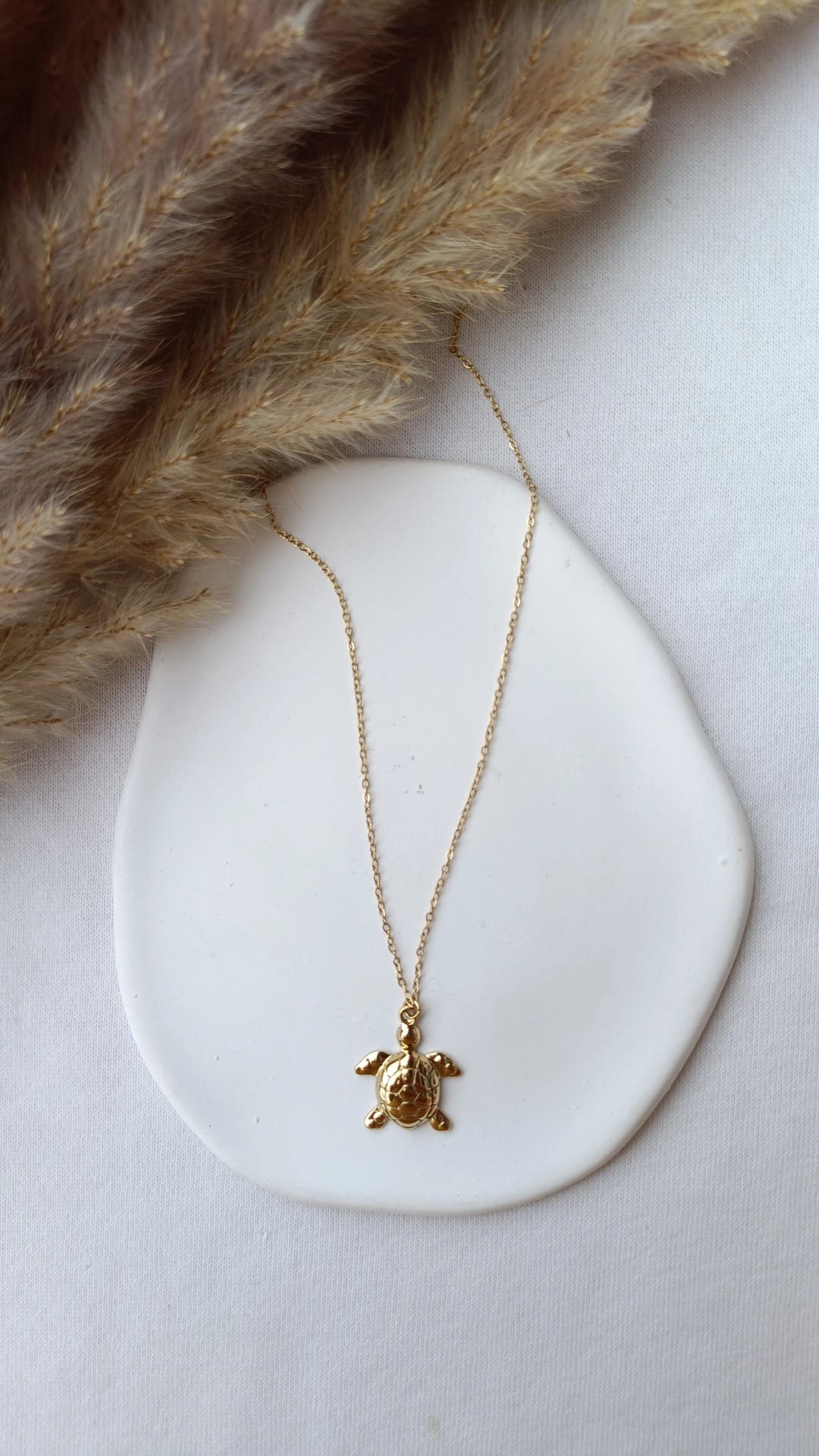 Colar de Aço Dourado de Tartaruga
