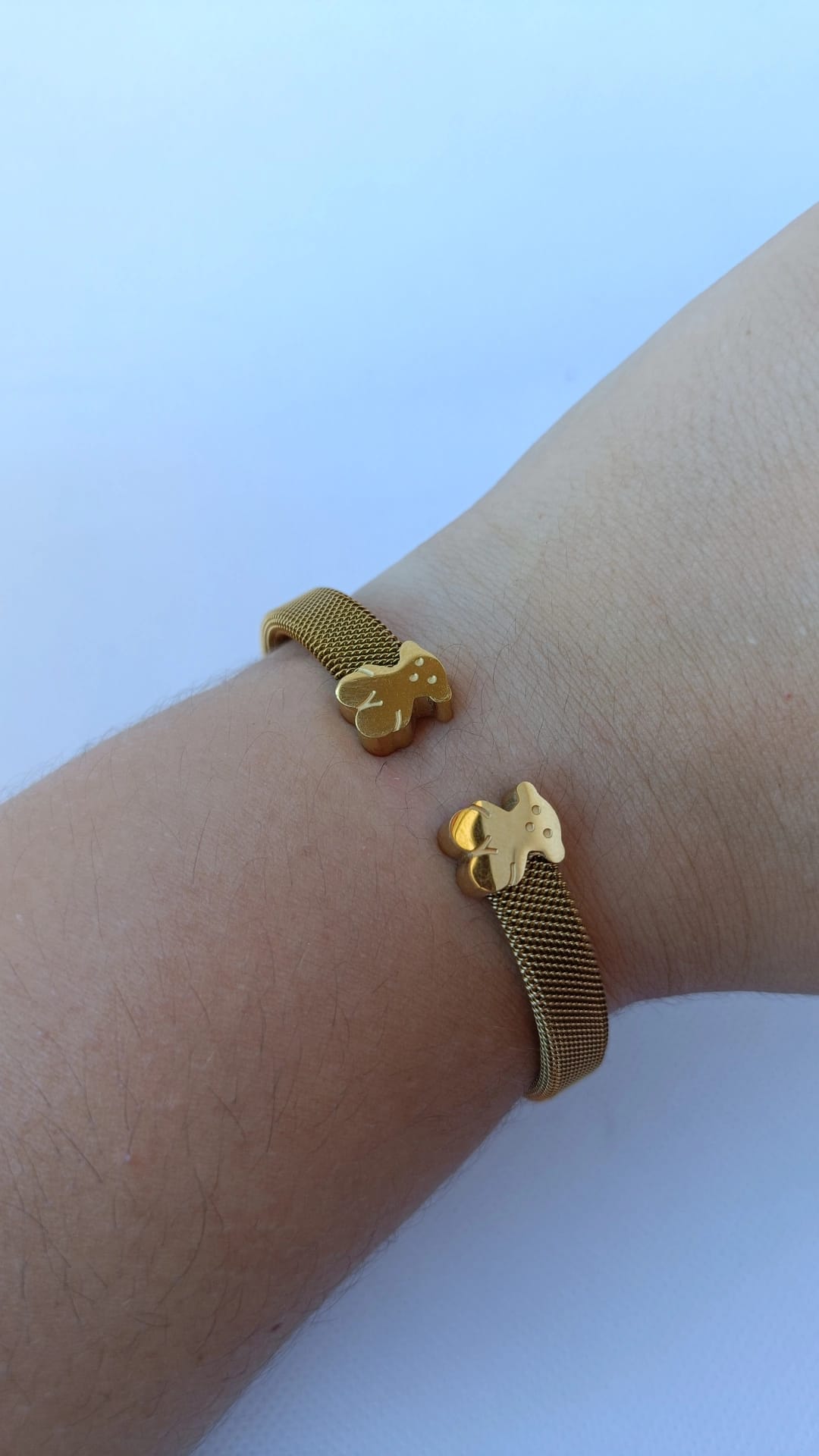 Pulseira de Aço Dourado Rígida de 2 Ursos